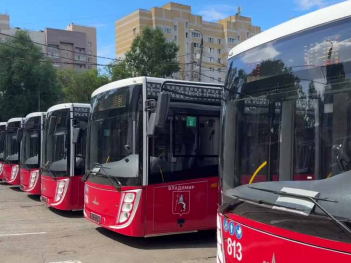 Во Владимир приехали новые 20 автобусов с валидаторами - День во Владимире