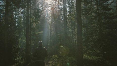 Заблудившуюся в лесу под Ковровом семью нашел глава сельского поселения