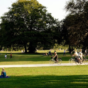 В микрорайоне Владимира разобьют парк и благоустроят сквер