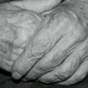 Пропавшего во Владимирской области в сентябре мужчину нашли мертвым