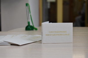 Во Владимирской области 18 тыс. многодетных семей получат удостоверения единого образца