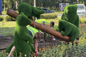 На улице Горького во Владимире «поселилась» семья медведей