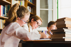 Во Владимирской области провели скрининг школ