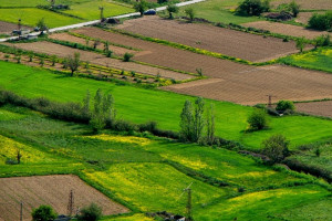 Под Ковровом многодетную семью оставили без газа