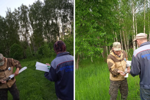 Во Владимирской области с бешенством животных будут бороться оральными вакцинами