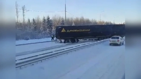 В аварию с легковушкой на М-12 под Петушками попала фура «Деловых линий»