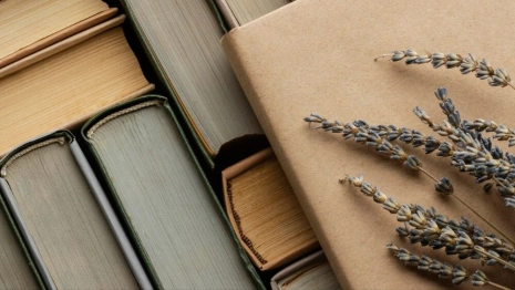 Во Владимирской области в 12-й раз пройдет «Библионочь»
