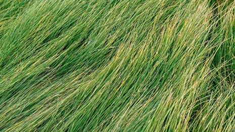 Во Владимирской области нашли артиллерийский снаряд 