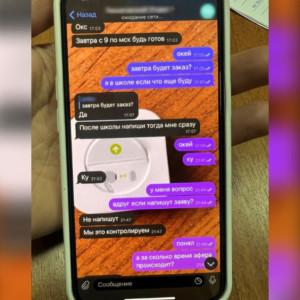 Полицейские показали переписку куратора преступлений с владимирским подростком