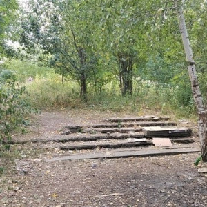 На обновление садов у ДТЮ во Владимире потратят 800 млн рублей