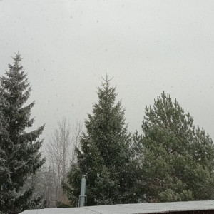 Во Владимирской области начался снегопад 20 ноября