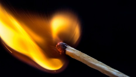 Во Владимирской области возбудили 5 уголовных дел из-за лесных пожаров