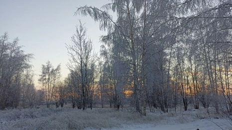 Прогноз погоды во Владимирской области на 21 февраля 2025 года