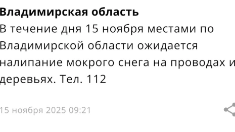 МЧС предупредило жителей Владимирской области о налипании мокрого снега