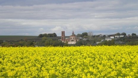 Во Владимирской области создадут маршрут по самым красивым деревням