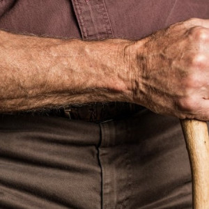 Во Владимире участники ОПГ из Тверской области обманули пенсионеров на 2 млн рублей