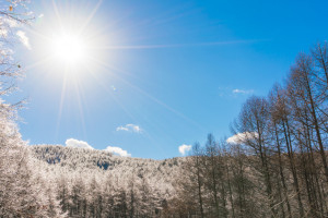Во Владимирской области в первые дни весны придет потепление