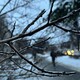 Прогноз погоды во Владимирской области на 1 декабря