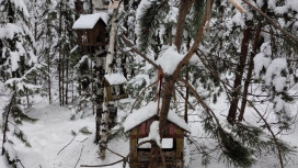 В парке «Сказка» в Гусь-Хрустальном построили деревню «Птичкино»