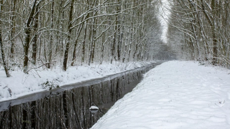 Прогноз погоды во Владимире и области на 25 января