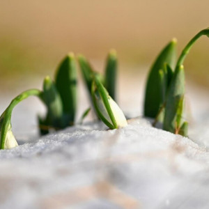 Прогноз погоды на 20 марта 2024 года во Владимире и области