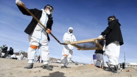 Во Владимирской области начали поиск волонтеров для ликвидации последствий ЧС в Черном море
