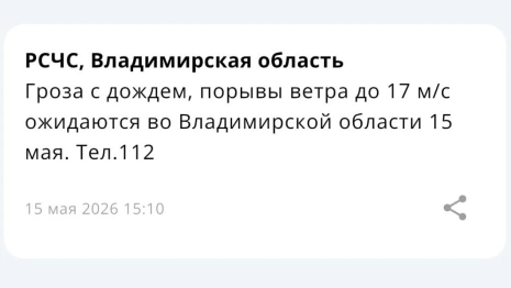 МЧС предупредило о грозе с дождем и сильном ветре во Владимирской области