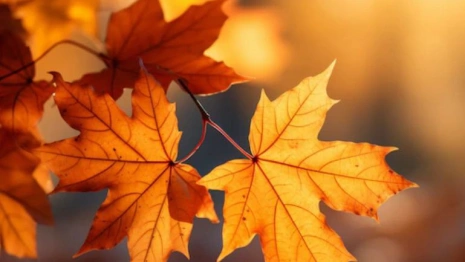 Прогноз погоды во Владимирской области 6 сентября