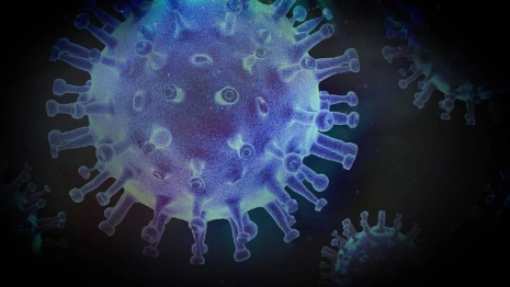 Во Владимирской области за сутки выявили 17 случаев заражения COVID-19