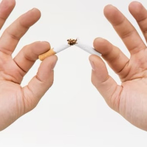 Во Владимире и Коврове магазинам «Магнит» запретили торговать сигаретами