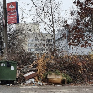 Дмитрия Наумова наказали за замусоренный Владимир