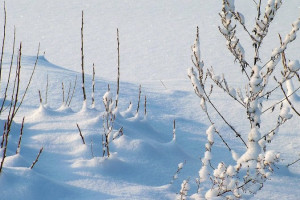 Прогноз погоды во Владимирской области на 7 января