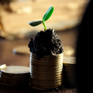 Жители Владимирской области назвали достойной зарплату выше 40 тысяч