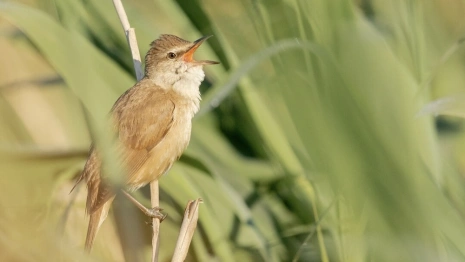 Седьмой день Великого поста: что можно и нельзя 24 марта