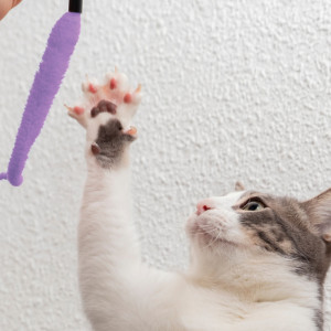 Народные приметы на 10 февраля: что можно и нельзя делать в Ефремов день