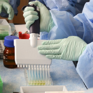 Во Владимирской области медики выписали ложную справку о прививке от ковида 