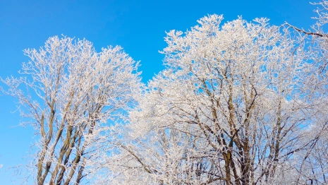 Церковный праздник сегодня 20 января: народные приметы в день Иоанна Крестителя