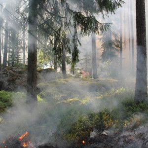 Во Владимирской области на 2 дня объявили желтый уровень погодной опасности