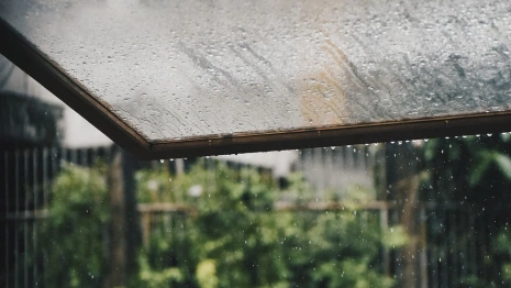 Во Владимирской области дожди будут лить две недели