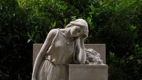 Во Владимирской области смертность в 2,5 раза превысила рождаемость
