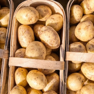 Во Владимире у ТЦ заработали сельские ярмарки