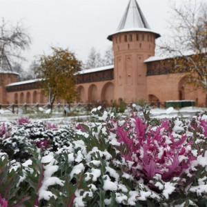 В Суздале Спасо-Евфимиев монастырь откроют для свободного посещения 4 ноября