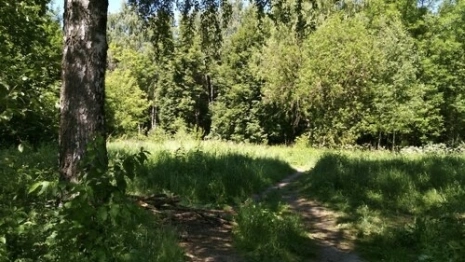 Козий парк во Владимире пропал из списка продаваемого имущества