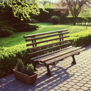 Бизнесмен из Иваново украл 1,6 млн рублей при благоустройстве в Суздале