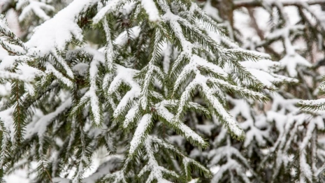 Прогноз погоды во Владимире и области на 15 октября