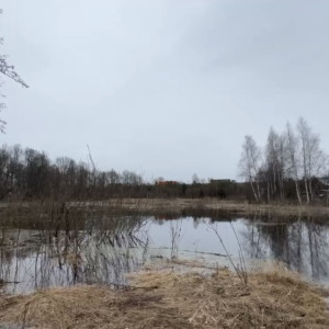 Во Владимире из-за половодья установили водомерные линейки