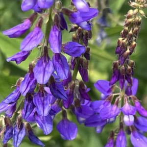 Во Владимирской области рабочая неделя будет жаркой и сухой