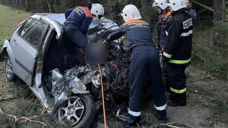 В Киржачском районе 2 человека погибли в ДТП с иномаркой и КамАЗом
