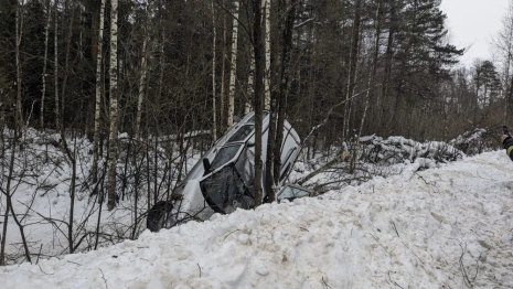 Во Владимирской области легковушка улетела в кювет и врезалась в деревья