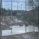 В одной из деревень Владимирской области утки плавают в огромной луже